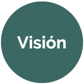 Visión